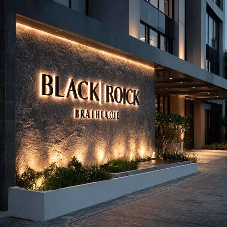 Enseigne à lettre rétro-éclairée LED (1)